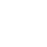icon13